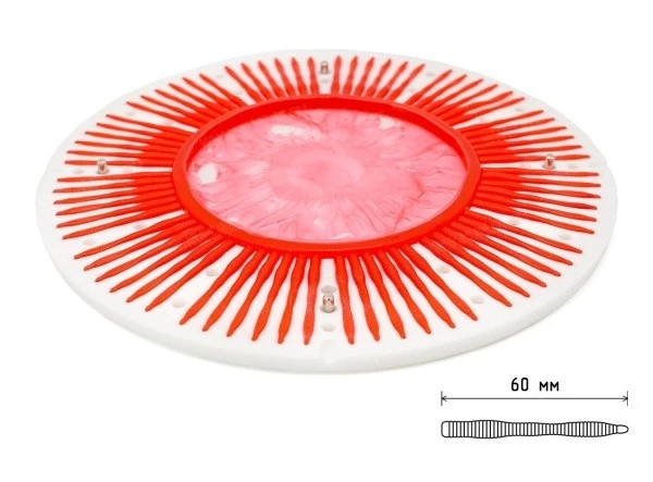 Центробежная форма Flat Worm 2.4 60 мм x 72 места - 2
