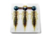 Larva 2.5 63 мм х 3 места - 1