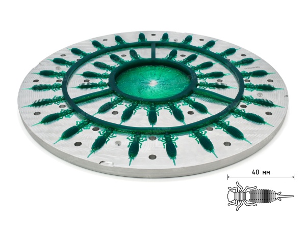 Центробежная форма Larva 1.6 40 мм x 39 мест Алюминий 2